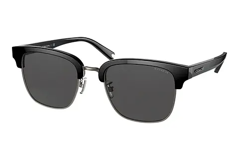 Sonnenbrille Coach C6194 (HC8326 500287)