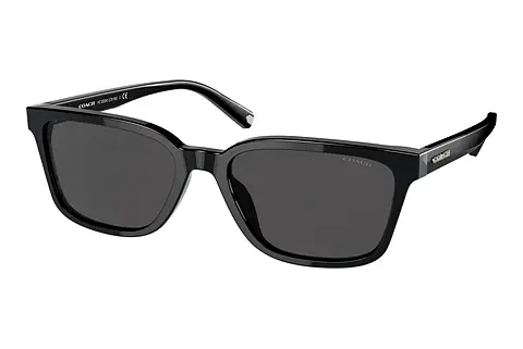 Sonnenbrille Coach C6196 (HC8328U 500287)