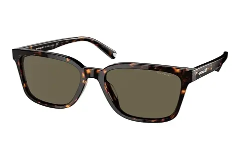 Sonnenbrille Coach C6196 (HC8328U 512003)
