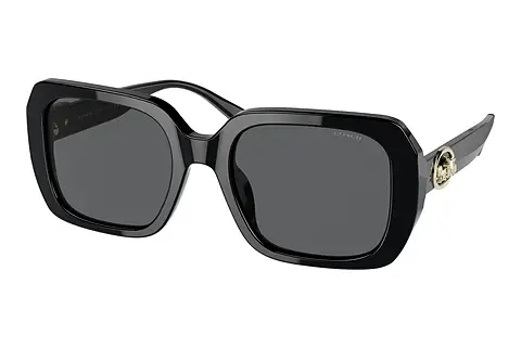 Sonnenbrille Coach C6188 (HC8329U 500287)
