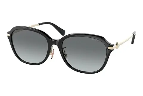 Sonnenbrille Coach C6199 (HC8332D 500211)