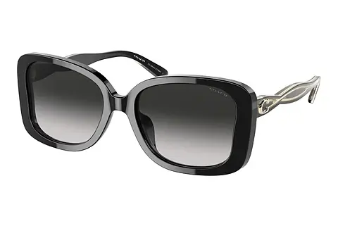 Sonnenbrille Coach C7994 (HC8334U 50023C)
