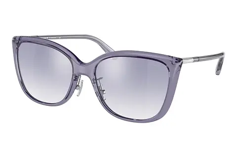 Sonnenbrille Coach C9206 (HC8345 56657B)