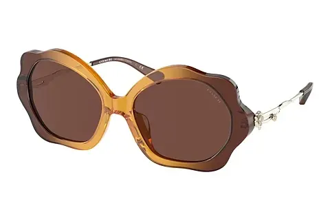 Sonnenbrille Coach C9200 (HC8346BU 57016G)