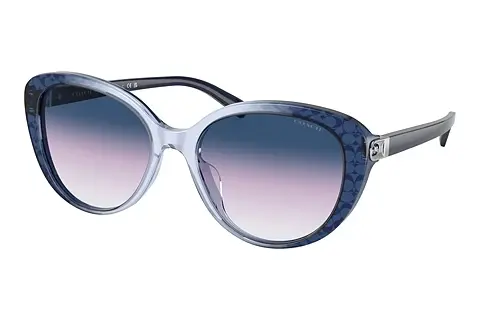 Sonnenbrille Coach CD479 (HC8348U 57088H)