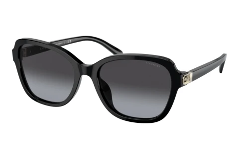 Sonnenbrille Coach CD481 (HC8349U 50028G)