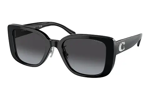 Sonnenbrille Coach CD472 (HC8352 50028G)