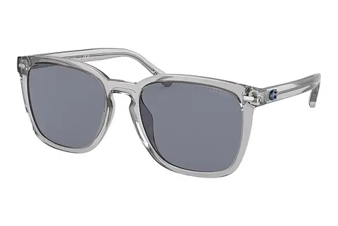Sonnenbrille Coach CD458 (HC8354U 571855)