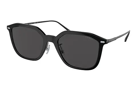 Sonnenbrille Coach CD461 (HC8355 500287)