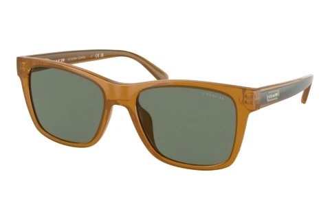 Sonnenbrille Coach CD455 (HC8359U 52513H)