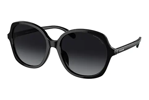Sonnenbrille Coach CH557 (HC8360U 5002T3)