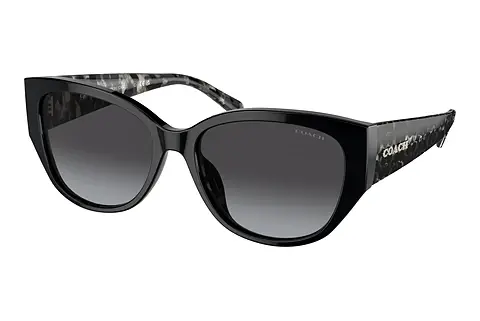 Sonnenbrille Coach CH563 (HC8362U 50028G)