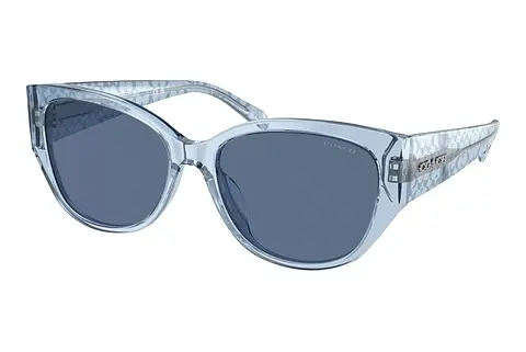 Sonnenbrille Coach CH563 (HC8362U 574080)