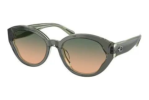 Sonnenbrille Coach CH569 (HC8364U 574613)