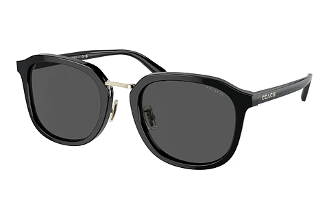 Sonnenbrille Coach CH577 (HC8366 500287)