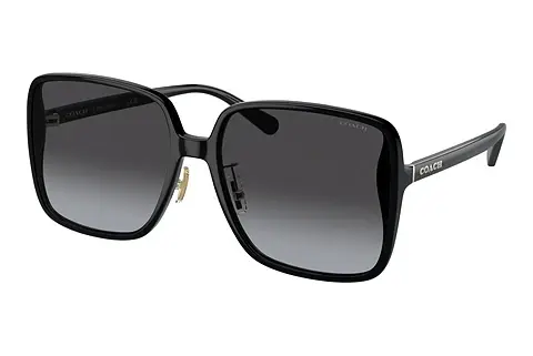 Sonnenbrille Coach CH572 (HC8368D 50028G)
