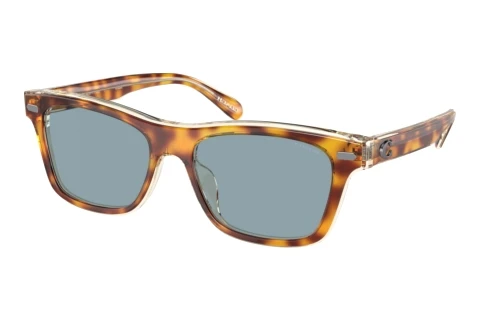 Sonnenbrille Coach CH583 (HC8371U 575672)