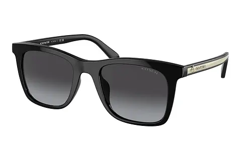 Sonnenbrille Coach CH561 (HC8374U 50028G)