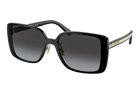 Sonnenbrille Coach CH562 (HC8375 50028G)