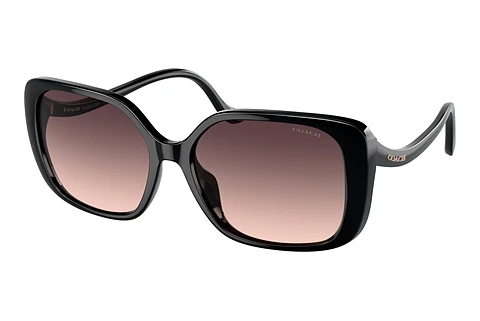 Sonnenbrille Coach CL929 (HC8376U 5002U8)