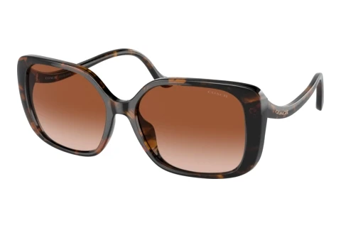 Sonnenbrille Coach CL929 (HC8376U 512013)