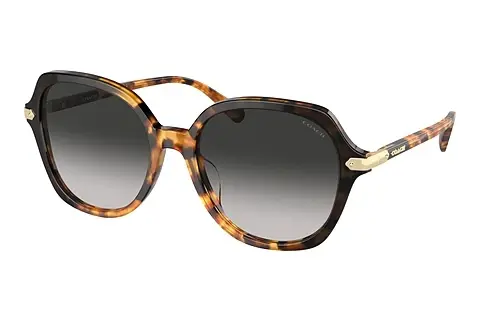 Sonnenbrille Coach CL925 (HC8377U 577613)
