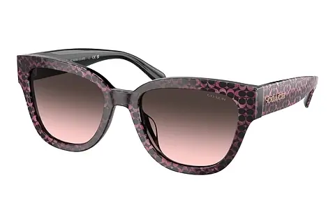 Sonnenbrille Coach CL920 (HC8379U 578346)