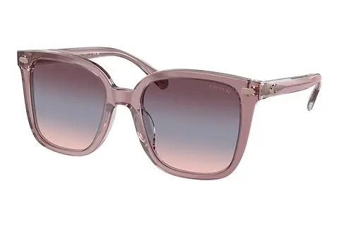 Sonnenbrille Coach CL918 (HC8381U 57820J)