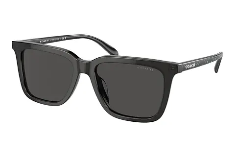 Sonnenbrille Coach CL910 (HC8385U 579387)