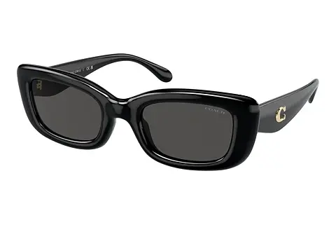 Sonnenbrille Coach CR610 (HC8390U 500287)