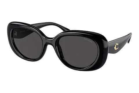 Sonnenbrille Coach CR609 (HC8391U 500287)