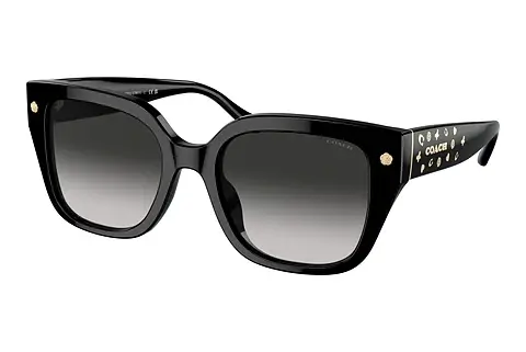 Sonnenbrille Coach CR611 (HC8392U 50023C)