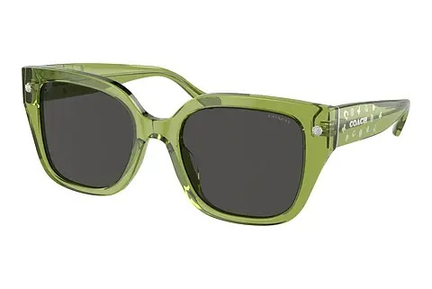 Sonnenbrille Coach CR611 (HC8392U 581087)