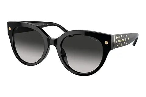 Sonnenbrille Coach CR612 (HC8393U 50023C)