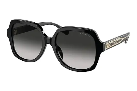 Sonnenbrille Coach CR614 (HC8395U 50023C)