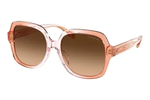 Sonnenbrille Coach CR614 (HC8395U 581274)
