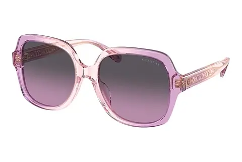 Sonnenbrille Coach CR614 (HC8395U 581390)