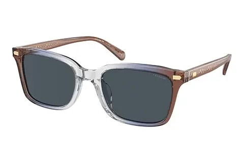 Sonnenbrille Coach CR630 (HC8398U 581587)