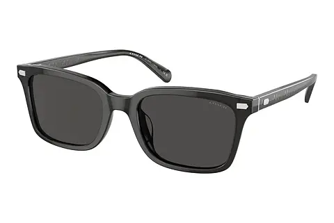 Sonnenbrille Coach CR630 (HC8398U 581787)