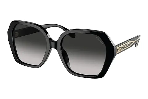 Sonnenbrille Coach CR615 (HC8404U 50023C)