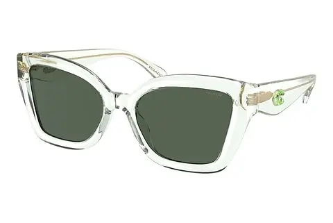 Sonnenbrille Coach CS544 (HC8405U 583271)