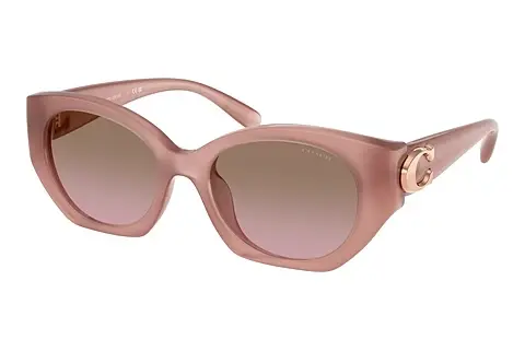 Sonnenbrille Coach CW194 (HC8407U 583914)