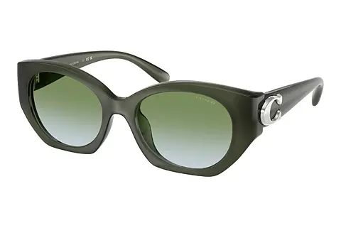 Sonnenbrille Coach CW194 (HC8407U 584017)