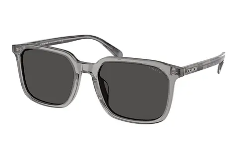 Sonnenbrille Coach CW405 (HC8411U 584987)