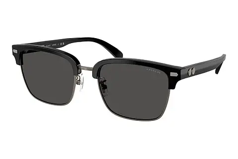 Sonnenbrille Coach CW406 (HC8412 500287)