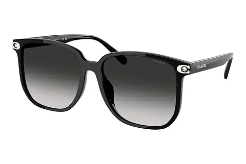 Sonnenbrille Coach CW419 (HC8413BD 50023C)