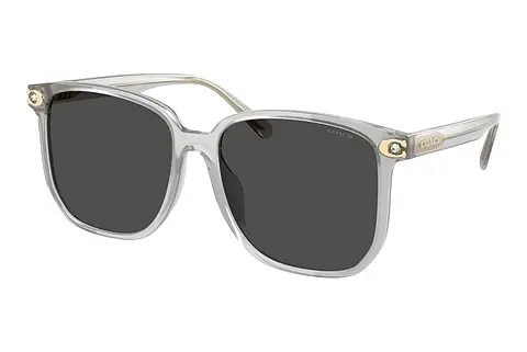 Sonnenbrille Coach CW419 (HC8413BD 561487)