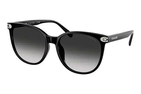 Sonnenbrille Coach CW428 (HC8414BD 50023C)