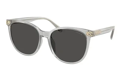Sonnenbrille Coach CW428 (HC8414BD 561487)