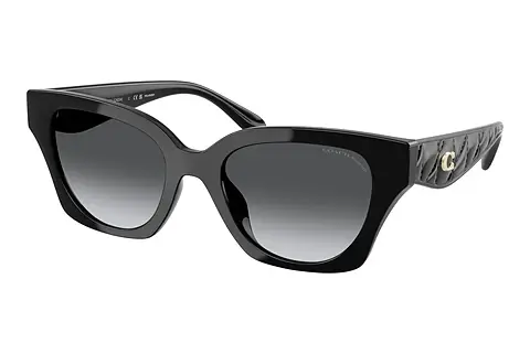 Sonnenbrille Coach CAD18 (HC8418U 5002T3)